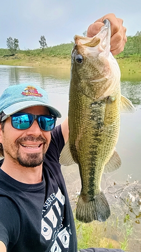 black bass la serena