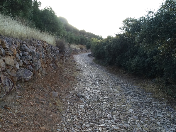Camino rural hacia la Ermita de la Virgen de la Cueva