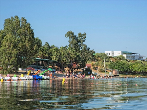 Zona de sombrillas y césped en la playa