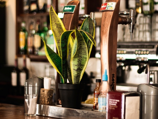 Interior del bar con mesas y barra