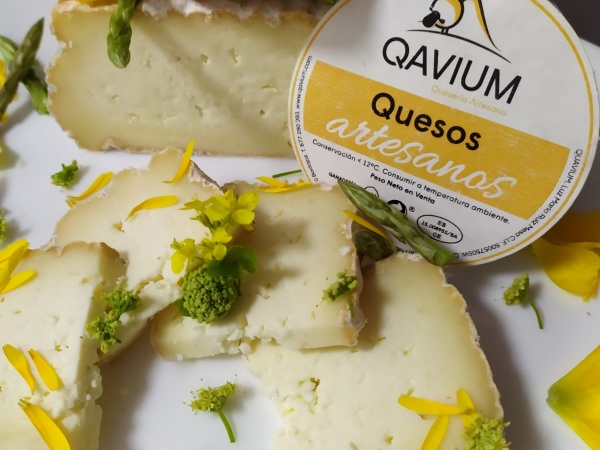 Queso Quavium de pasta blanda