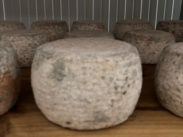 Queso curado de oveja en un plato