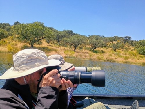 Observación de aves desde un barco en un embalse