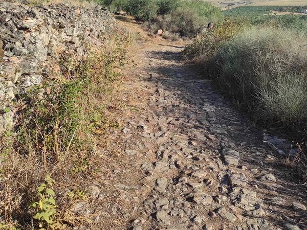 Senderismo ruta circular sierra Castillo 11